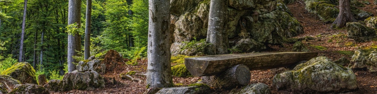 Wellnessurlaub im Bayerischen Wald ist Erholung pur
