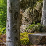 Wellness im Bayerischen Wald